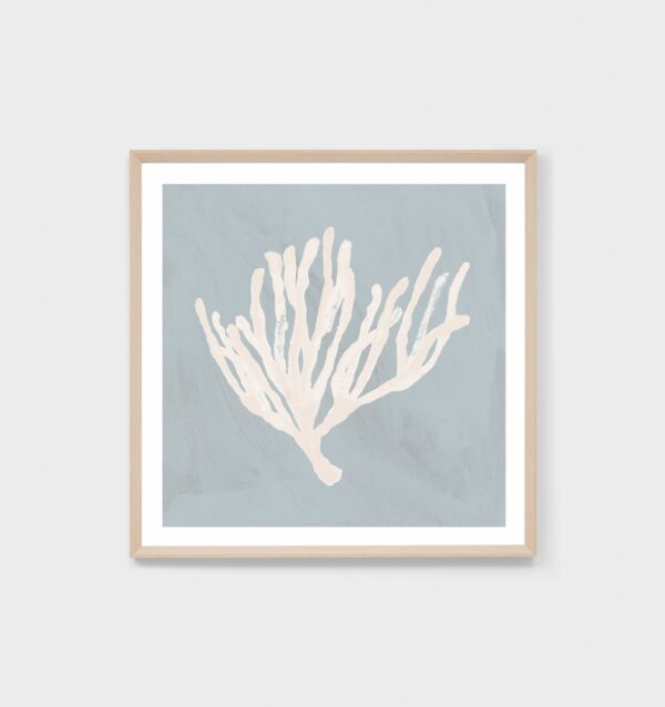 coral_study_blue_1_print