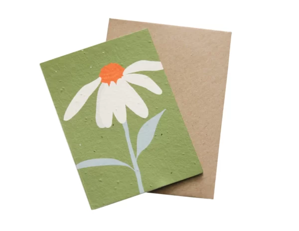 Plantable Greeting card - Hey Flower